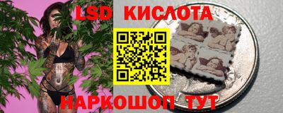 молекула духа Будённовск