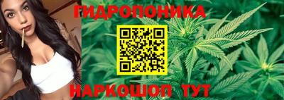 молекула духа Будённовск