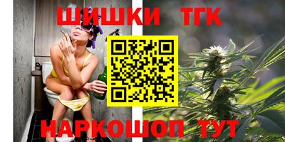 молекула духа Будённовск
