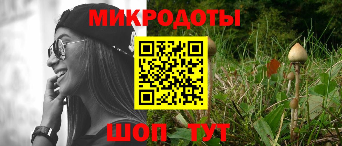 Чехов  как найти закладки  Вход с VPN  Галлюциногенные грибы Magic Shrooms 